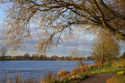 <i class='fa fa-user'></i>&nbsp;Nel R&nbsp;|  Wandeling langs de Maas&nbsp; <i class='fa fa-eye'>&nbsp;83</i> &nbsp;<i class='fa fa-thumbs-up'>&nbsp;1</i> &nbsp; <i class='fa fa-comment-o'>&nbsp;3</i>