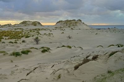 <i class='fa fa-user'></i>&nbsp;Nel R&nbsp;|  Duinen&nbsp; <i class='fa fa-eye'>&nbsp;117</i> &nbsp; <i class='fa fa-comment-o'>&nbsp;7</i>