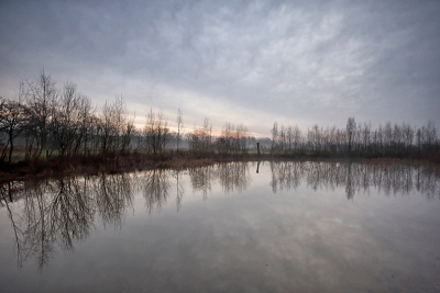 <i class='fa fa-user'></i>&nbsp;Pieter  LJ&nbsp;|  Spiegeling in het water&nbsp; <i class='fa fa-eye'>&nbsp;71</i> &nbsp; <i class='fa fa-comment-o'>&nbsp;1</i>