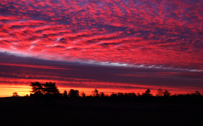 Ruim voor zonsopgang begon te lucht heel mooi te kleuren. Het was fantastisch om te zien. Het veranderde per minuut.