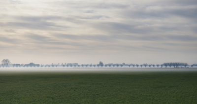 <i class='fa fa-user'></i>&nbsp;Ben Aalders&nbsp;|  Wilgenlaan in de mist&nbsp; <i class='fa fa-eye'>&nbsp;113</i> &nbsp;<i class='fa fa-thumbs-up'>&nbsp;1</i> &nbsp; <i class='fa fa-comment-o'>&nbsp;6</i>