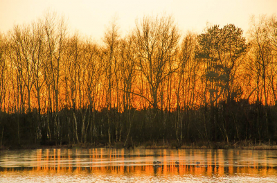 <i class='fa fa-user'></i>&nbsp;Truus Aletta Maan&nbsp;|  Zonsondergang&nbsp; <i class='fa fa-eye'>&nbsp;103</i> &nbsp; <i class='fa fa-comment-o'>&nbsp;1</i>