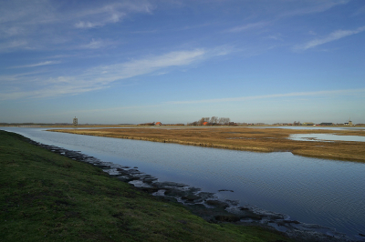 <i class='fa fa-user'></i>&nbsp;Nel R&nbsp;|  Laatste wandeling van 2019&nbsp; <i class='fa fa-eye'>&nbsp;89</i> &nbsp; <i class='fa fa-comment-o'>&nbsp;2</i>
