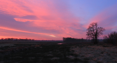 <i class='fa fa-user'></i>&nbsp;Tineke Strijbosch&nbsp;|  Deurze Diep vlak voor zonsopgang&nbsp; <i class='fa fa-eye'>&nbsp;105</i> &nbsp; <i class='fa fa-comment-o'>&nbsp;5</i>