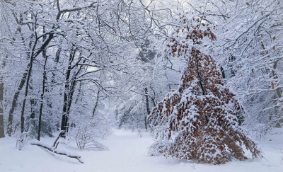 <i class='fa fa-user'></i>&nbsp;Nel R&nbsp;|  Witte wereld met 'n tipje rood&nbsp; <i class='fa fa-eye'>&nbsp;158</i> &nbsp;<i class='fa fa-thumbs-up'>&nbsp;4</i> &nbsp; <i class='fa fa-comment-o'>&nbsp;8</i>