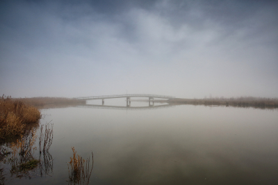 <i class='fa fa-user'></i>&nbsp;Pieter  LJ&nbsp;|  Noordwaardpolder&nbsp; <i class='fa fa-eye'>&nbsp;142</i> &nbsp; <i class='fa fa-comment-o'>&nbsp;2</i>