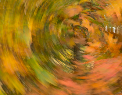 <i class='fa fa-user'></i>&nbsp;Truus Aletta Maan&nbsp;|  Herfst kleuren&nbsp; <i class='fa fa-eye'>&nbsp;115</i> &nbsp; <i class='fa fa-comment-o'>&nbsp;3</i>