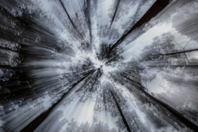 <i class='fa fa-user'></i>&nbsp;celly cell&nbsp;|  Dennebos&nbsp; <i class='fa fa-eye'>&nbsp;113</i> &nbsp; <i class='fa fa-comment-o'>&nbsp;2</i>