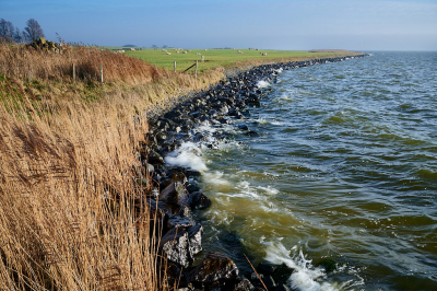 <i class='fa fa-user'></i>&nbsp;HenkvanOosten&nbsp;|  IJsselmeerkust bij Laaksum&nbsp; <i class='fa fa-eye'>&nbsp;78</i> &nbsp; <i class='fa fa-comment-o'>&nbsp;2</i>