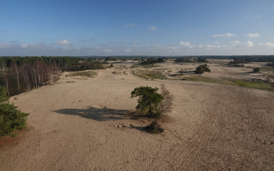 Mooie weersomstandigheden. Eindelijk weer eens een zonnetje. De werkzaamheden zijn afgerond. Het zand is vanaf de toren (de Zandloper) weer meer zichtbaar. Hopelijk gaat het nu wat meer verstuiven zodat alle sporen weer wat gaan vervagen.
https://www.wandelnet.nl/nieuwsbericht/2019/09/28/Kootwijkerzand-blijft-tijdens-afplaggen-toegankelijk-voor-wandelaars