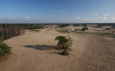 Mooie weersomstandigheden. Eindelijk weer eens een zonnetje. De werkzaamheden zijn afgerond. Het zand is vanaf de toren (de Zandloper) weer meer zichtbaar. Hopelijk gaat het nu wat meer verstuiven zodat alle sporen weer wat gaan vervagen.
https://www.wandelnet.nl/nieuwsbericht/2019/09/28/Kootwijkerzand-blijft-tijdens-afplaggen-toegankelijk-voor-wandelaars