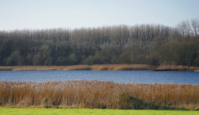 <i class='fa fa-user'></i>&nbsp;Ben Aalders&nbsp;|  Veluwe meer&nbsp; <i class='fa fa-eye'>&nbsp;73</i> &nbsp; <i class='fa fa-comment-o'>&nbsp;0</i>