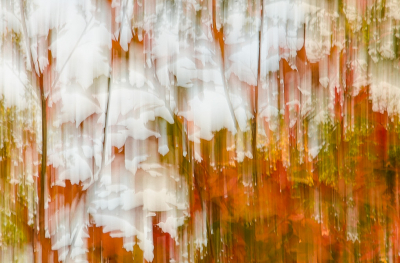 <i class='fa fa-user'></i>&nbsp;Truus Aletta Maan&nbsp;|  Herfst kleuren&nbsp; <i class='fa fa-eye'>&nbsp;140</i> &nbsp;<i class='fa fa-thumbs-up'>&nbsp;3</i> &nbsp; <i class='fa fa-comment-o'>&nbsp;5</i>