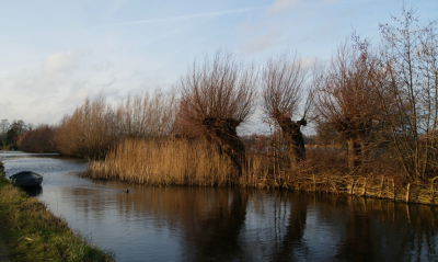 <i class='fa fa-user'></i>&nbsp;B.M.Schouten-Ruis&nbsp;|  Reeuwijkse Hout&nbsp; <i class='fa fa-eye'>&nbsp;80</i> &nbsp; <i class='fa fa-comment-o'>&nbsp;3</i>