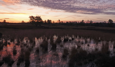 Toen ik opstond was het nog bijna helemaal donker. Een vleugje rood deed me besluiten om toch nog even te gaan kijken naar de zonsopgang. Het kon nog net voordat ik een dagje wegging.
Het was de moeite waard. Even waren er prachtige kleuren. Dit was een half uur voor zonsopgang.