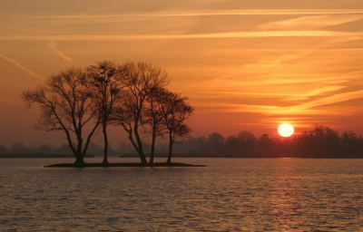<i class='fa fa-user'></i>&nbsp;B.M.Schouten-Ruis&nbsp;|  Zonsopkomst Reeuwijkse Plas&nbsp; <i class='fa fa-eye'>&nbsp;117</i> &nbsp;<i class='fa fa-thumbs-up'>&nbsp;5</i> &nbsp; <i class='fa fa-comment-o'>&nbsp;6</i>