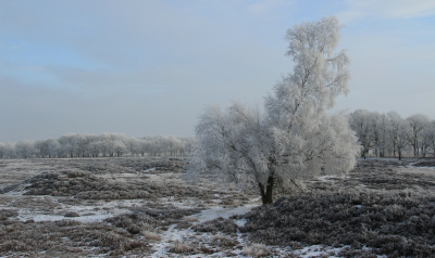 <i class='fa fa-user'></i>&nbsp;Tineke Strijbosch&nbsp;|  Waar blijft de winter?&nbsp; <i class='fa fa-eye'>&nbsp;153</i> &nbsp;<i class='fa fa-thumbs-up'>&nbsp;1</i> &nbsp; <i class='fa fa-comment-o'>&nbsp;7</i>
