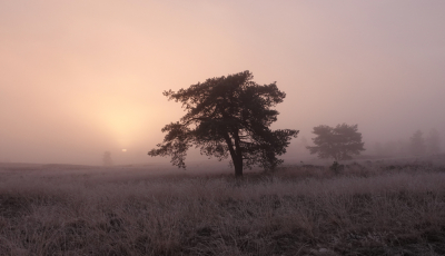 Na de mooie kleurtjes kwam er wat mist. Even kwam de zon te voorschijn. Hierna tok het dicht. Dit was om kwart voor 9. Een hele tijd dus vol verwondering genoten.