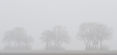 <i class='fa fa-user'></i>&nbsp;Johan van Gurp&nbsp;|  Mist in de polder&nbsp; <i class='fa fa-eye'>&nbsp;100</i> &nbsp; <i class='fa fa-comment-o'>&nbsp;5</i>