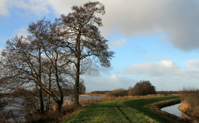 <i class='fa fa-user'></i>&nbsp;Tineke Strijbosch&nbsp;|  Bovenloop Drentsche Aa&nbsp; <i class='fa fa-eye'>&nbsp;89</i> &nbsp;<i class='fa fa-thumbs-up'>&nbsp;3</i> &nbsp; <i class='fa fa-comment-o'>&nbsp;7</i>