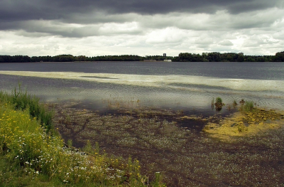 <i class='fa fa-user'></i>&nbsp;B.M.Schouten-Ruis&nbsp;|  Zevenhuizerplas&nbsp; <i class='fa fa-eye'>&nbsp;123</i> &nbsp;<i class='fa fa-thumbs-up'>&nbsp;5</i> &nbsp; <i class='fa fa-comment-o'>&nbsp;8</i>