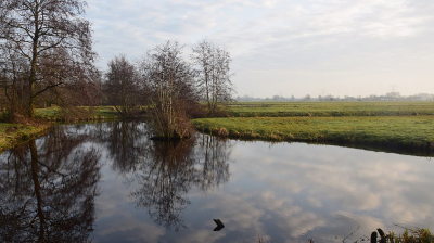 <i class='fa fa-user'></i>&nbsp;kooyammers&nbsp;|  Veel water, veel elzen&nbsp; <i class='fa fa-eye'>&nbsp;68</i> &nbsp;<i class='fa fa-thumbs-up'>&nbsp;1</i> &nbsp; <i class='fa fa-comment-o'>&nbsp;2</i>