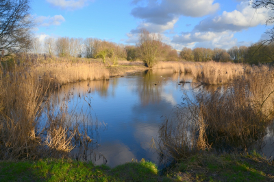 <i class='fa fa-user'></i>&nbsp;B.M.Schouten-Ruis&nbsp;|  Landschap De Esch&nbsp; <i class='fa fa-eye'>&nbsp;117</i> &nbsp;<i class='fa fa-thumbs-up'>&nbsp;6</i> &nbsp; <i class='fa fa-comment-o'>&nbsp;10</i>
