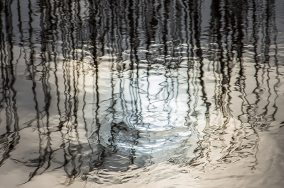 <i class='fa fa-user'></i>&nbsp;Truus Aletta Maan&nbsp;|  Weerspiegeling&nbsp; <i class='fa fa-eye'>&nbsp;67</i> &nbsp; <i class='fa fa-comment-o'>&nbsp;4</i>