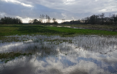 Dit is een beetje een samenvatting van hoe een week vakantie in Drenthe was: Nat!
We waren in de stromende regen voorbij dit gebiedje gereden. Toen het later wat droog werd zijn we er gaan wandelen. Zo wordt dit gebied omschreven:
Tijdens deze wandeling kun je binnen twee uur heel Drenthe zien: heideveldjes, een groot ven, jeneverbessen, bossen, een hoge es, een hunebed, grafheuvels, houtwallen en natte landjes langs de beek. En dat klopte ook. Het was een mooi gebied.