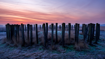 op een van de weinige koude ochtenden dit jaar naar de grafheuvels gegaan om foto's te maken.