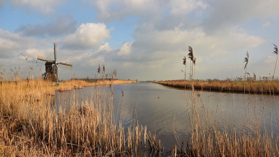 <i class='fa fa-user'></i>&nbsp;kooyammers&nbsp;|  Achterwaterschap met Zijde Molen&nbsp; <i class='fa fa-eye'>&nbsp;103</i> &nbsp;<i class='fa fa-thumbs-up'>&nbsp;3</i> &nbsp; <i class='fa fa-comment-o'>&nbsp;10</i>