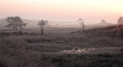 Op een plek waar ik geregeld kom gewacht op de zonsopgang.  Het was onduidelijk of ik wel wat te zien kwam vanwege de mist. Maar hier zijn is geen straf. Het was - 3 graden daar. De zon kwam als een streepje op en werd heel mooi. Het licht zie je hier over het landschap.