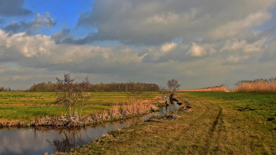 <i class='fa fa-user'></i>&nbsp;kooyammers&nbsp;|  Zicht op Eendenkooi&nbsp; <i class='fa fa-eye'>&nbsp;77</i> &nbsp; <i class='fa fa-comment-o'>&nbsp;7</i>