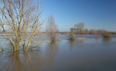 <i class='fa fa-user'></i>&nbsp;nelappelmelk&nbsp;|  Hoog water&nbsp; <i class='fa fa-eye'>&nbsp;112</i> &nbsp;<i class='fa fa-thumbs-up'>&nbsp;2</i> &nbsp; <i class='fa fa-comment-o'>&nbsp;5</i>