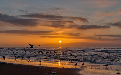<i class='fa fa-user'></i>&nbsp;Jurgen Maassen&nbsp;|  Before sunset&nbsp; <i class='fa fa-eye'>&nbsp;131</i> &nbsp;<i class='fa fa-thumbs-up'>&nbsp;6</i> &nbsp; <i class='fa fa-comment-o'>&nbsp;5</i>