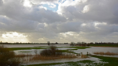 <i class='fa fa-user'></i>&nbsp;kooyammers&nbsp;|  Uiterwaarden bij Jaarsveld&nbsp; <i class='fa fa-eye'>&nbsp;93</i> &nbsp;<i class='fa fa-thumbs-up'>&nbsp;3</i> &nbsp; <i class='fa fa-comment-o'>&nbsp;5</i>