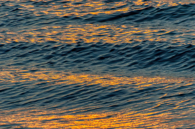 <i class='fa fa-user'></i>&nbsp;Jurgen Maassen&nbsp;|  Golden Waves&nbsp; <i class='fa fa-eye'>&nbsp;90</i> &nbsp;<i class='fa fa-thumbs-up'>&nbsp;3</i> &nbsp; <i class='fa fa-comment-o'>&nbsp;3</i>