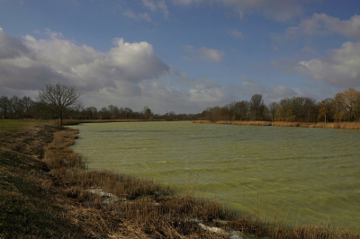 <i class='fa fa-user'></i>&nbsp;Nel R&nbsp;|  Groen water&nbsp; <i class='fa fa-eye'>&nbsp;116</i> &nbsp;<i class='fa fa-thumbs-up'>&nbsp;2</i> &nbsp; <i class='fa fa-comment-o'>&nbsp;5</i>