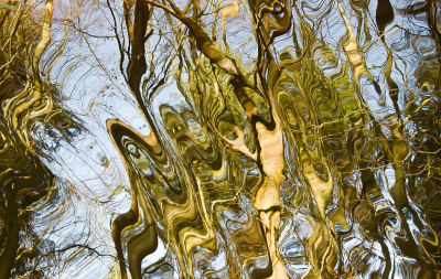 <i class='fa fa-user'></i>&nbsp;Truus Aletta Maan&nbsp;|  Bomen weerspiegeld in water&nbsp; <i class='fa fa-eye'>&nbsp;93</i> &nbsp;<i class='fa fa-thumbs-up'>&nbsp;3</i> &nbsp; <i class='fa fa-comment-o'>&nbsp;5</i>