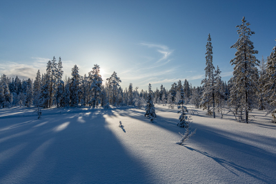 <i class='fa fa-user'></i>&nbsp;Arjen Drost&nbsp;|  Eindelijk winter&nbsp; <i class='fa fa-eye'>&nbsp;111</i> &nbsp;<i class='fa fa-thumbs-up'>&nbsp;1</i> &nbsp; <i class='fa fa-comment-o'>&nbsp;4</i>