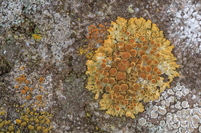 <i class='fa fa-user'></i>&nbsp;Johan van Gurp&nbsp;|  Sinaasappelkorst&nbsp; <i class='fa fa-eye'>&nbsp;104</i> &nbsp;<i class='fa fa-thumbs-up'>&nbsp;1</i> &nbsp; <i class='fa fa-comment-o'>&nbsp;6</i>