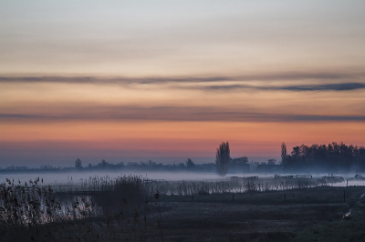 <i class='fa fa-user'></i>&nbsp;Henk Bouter&nbsp;|  Zonsopkomst&nbsp; <i class='fa fa-eye'>&nbsp;107</i> &nbsp;<i class='fa fa-thumbs-up'>&nbsp;5</i> &nbsp; <i class='fa fa-comment-o'>&nbsp;4</i>