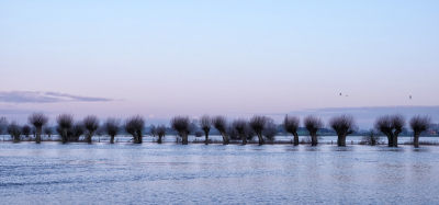 <i class='fa fa-user'></i>&nbsp;nelappelmelk&nbsp;|  Wassend water&nbsp; <i class='fa fa-eye'>&nbsp;92</i> &nbsp; <i class='fa fa-comment-o'>&nbsp;3</i>
