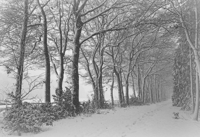 <i class='fa fa-user'></i>&nbsp;Nel R&nbsp;|  Verlangen naar de winter&nbsp; <i class='fa fa-eye'>&nbsp;132</i> &nbsp;<i class='fa fa-thumbs-up'>&nbsp;2</i> &nbsp; <i class='fa fa-comment-o'>&nbsp;6</i>