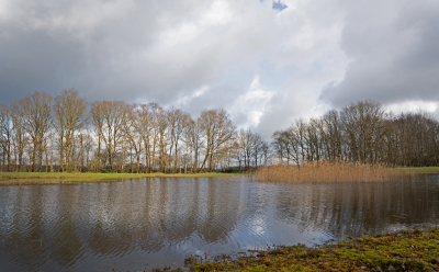 <i class='fa fa-user'></i>&nbsp;Ties Niehof&nbsp;|  Plasje met riet&nbsp; <i class='fa fa-eye'>&nbsp;90</i> &nbsp;<i class='fa fa-thumbs-up'>&nbsp;1</i> &nbsp; <i class='fa fa-comment-o'>&nbsp;3</i>