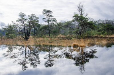 <i class='fa fa-user'></i>&nbsp;Truus Aletta Maan&nbsp;|  Landschap&nbsp; <i class='fa fa-eye'>&nbsp;72</i> &nbsp; <i class='fa fa-comment-o'>&nbsp;9</i>