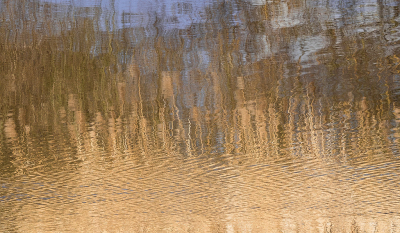 <i class='fa fa-user'></i>&nbsp;Truus Aletta Maan&nbsp;|  Weerspiegeling&nbsp; <i class='fa fa-eye'>&nbsp;63</i> &nbsp; <i class='fa fa-comment-o'>&nbsp;0</i>