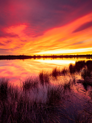 <i class='fa fa-user'></i>&nbsp;Bas_Schippers&nbsp;|  Zonsondergang 't Goor&nbsp; <i class='fa fa-eye'>&nbsp;101</i> &nbsp; <i class='fa fa-comment-o'>&nbsp;1</i>
