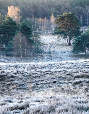 <i class='fa fa-user'></i>&nbsp;nelappelmelk&nbsp;|  Einde winter&nbsp; <i class='fa fa-eye'>&nbsp;81</i> &nbsp; <i class='fa fa-comment-o'>&nbsp;4</i>