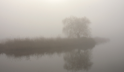 <i class='fa fa-user'></i>&nbsp;Eric Gibcus&nbsp;|  Landschap&nbsp; <i class='fa fa-eye'>&nbsp;70</i> &nbsp; <i class='fa fa-comment-o'>&nbsp;6</i>